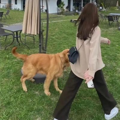纯种狼2
